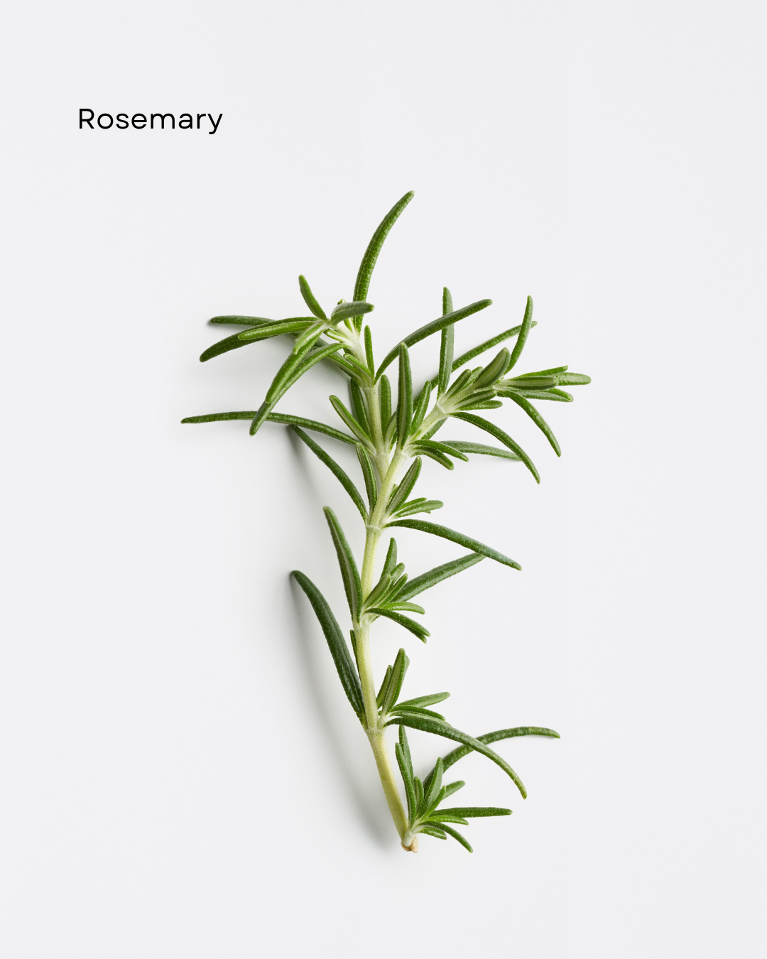 Dermosthétique Age Reversing Night Cream